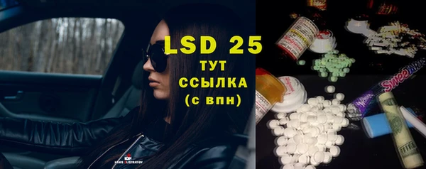 ECSTASY Вяземский