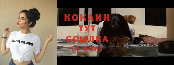 ECSTASY Вяземский