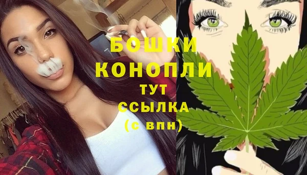 ECSTASY Вяземский