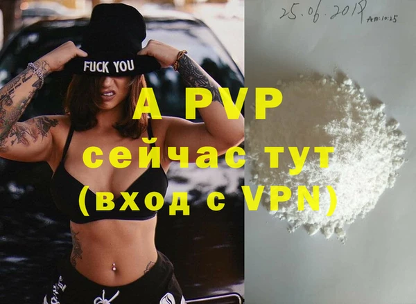 ECSTASY Вяземский