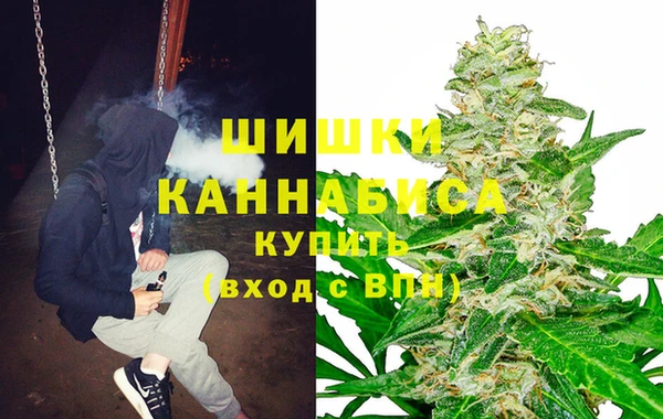 Альфа ПВП Вязьма